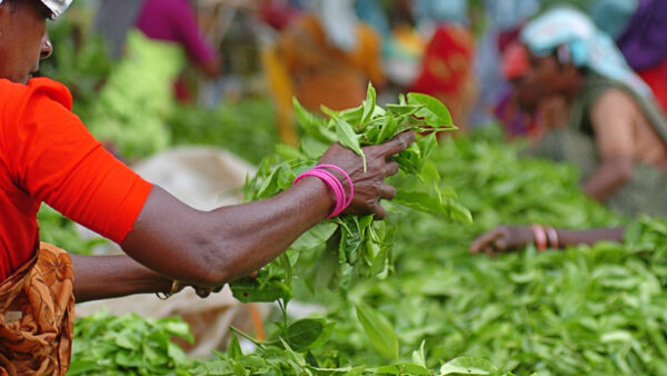 Sustainable development